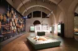 Museo delle Navi Antiche di Pisa