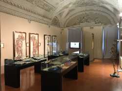 Museo della Grafica Palazzo Lanfranchi