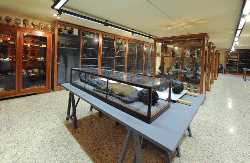 Museo di Anatomia Umana Filippo Civinini