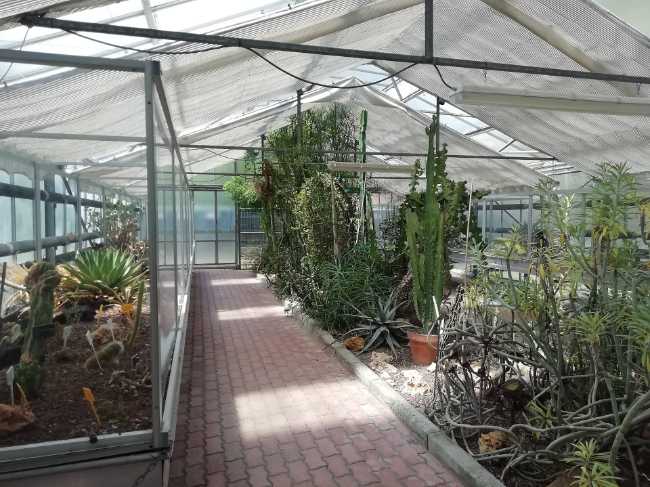 Orto Botanico ed Erbario dell’Università di Bologna