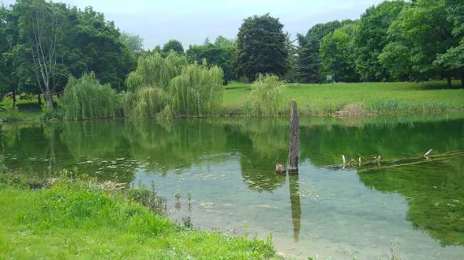 Parco della Pellerina