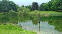 Parco della Pellerina