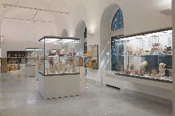 Archaeological Museum Antonio Salinas