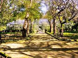 Orto Botanico di Palermo