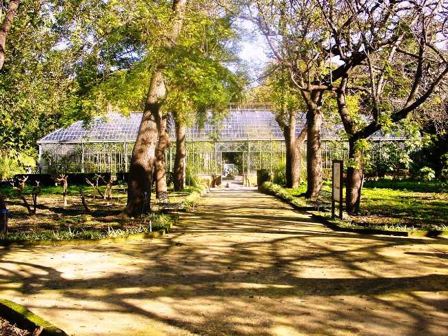 Orto Botanico di Palermo