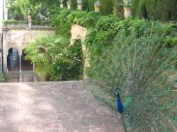 Mirador de San Nicolás