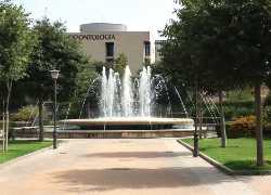 Park of the Perdigones