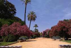Murillo Gardens