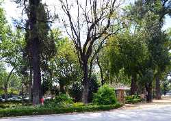 Jardines de Cristina