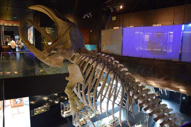 Aquarium San Sebastian