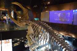 Aquarium San Sebastian