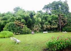 Parque Viveros de Ulia