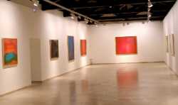 Museum of Contemporary Art Esteban Vicente