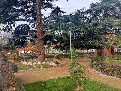 Jardinillos De San Roque