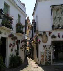 Calleja de las Flores