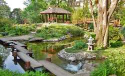 Botanical Garden Jevremovac