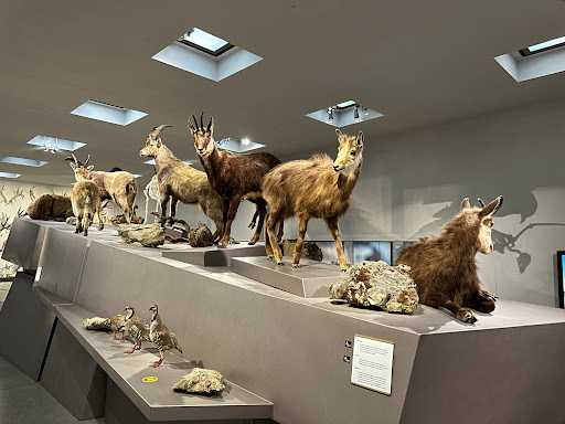 Liechtenstein National Museum