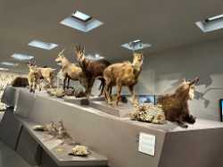 Liechtenstein National Museum