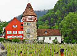Rotes Haus