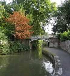 Sydney Gardens