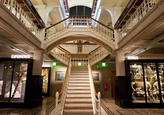Manchester Museum