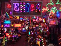 God's Own Junkyard
