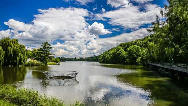 Divoká Šárka Nature Reserve