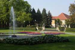 Royal Garden
