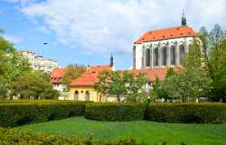 Franciscan Garden