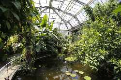 Botanical Garden of Prague