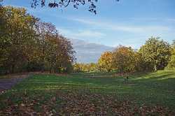 Volkspark Hasenheide