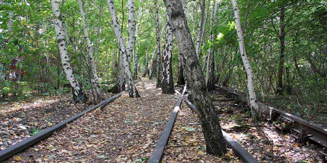 Natur-Park Südgelände