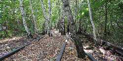 Natur-Park Südgelände