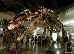 Hungarian Natural History Museum