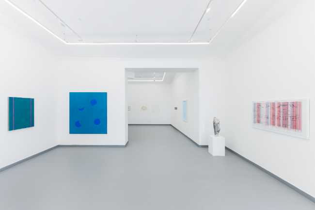 Ani Molnár Gallery