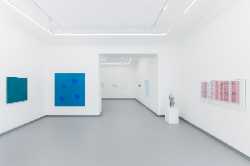 Ani Molnár Gallery