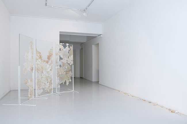 Ama Gallery
