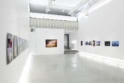 Photographic Gallery Hippolyte