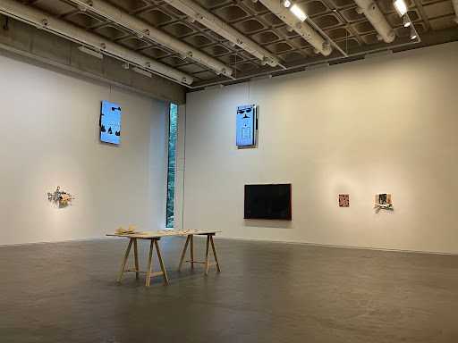 Douglas Hyde Gallery