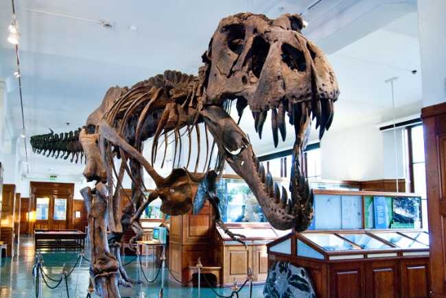 Oslo Natural History Museum