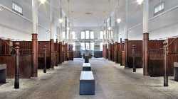 Queen Joséphine Gallery