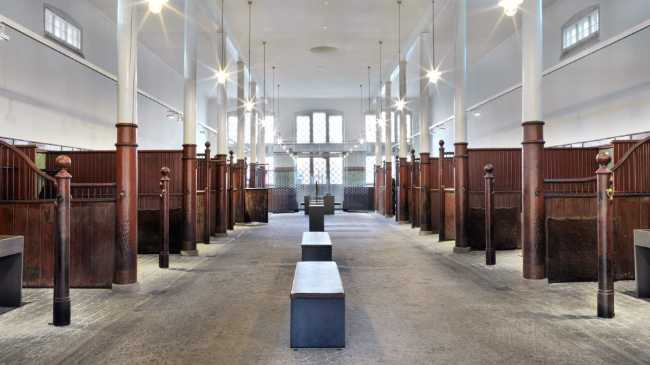 Queen Joséphine Gallery