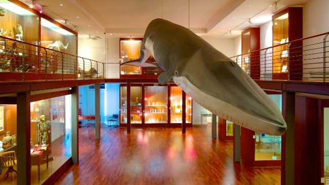 National Museum of Science & Natural History