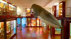 National Museum of Science & Natural History