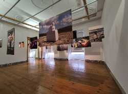 Zé dos Bois (ZDB) Gallery
