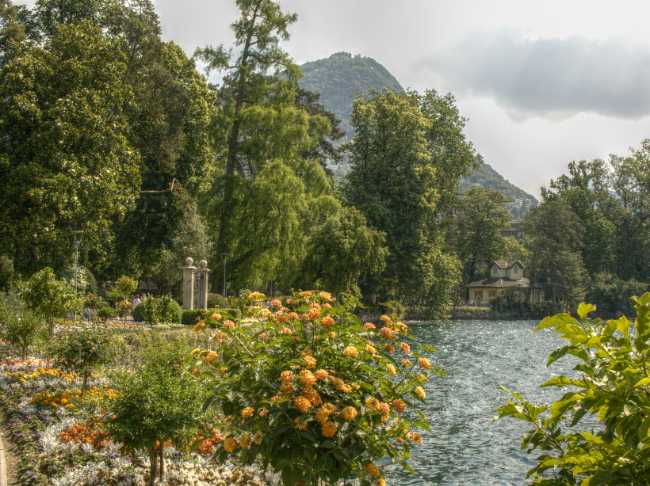 Parco Ciani