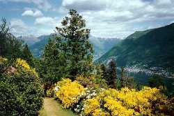 Parco San Michele