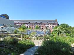 University of Basel Botanical Garden