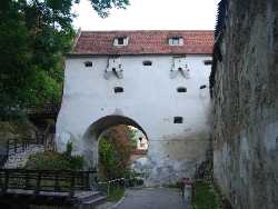 Graft Bastion