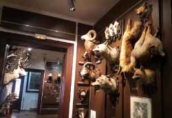 Museum of Contemporary Art Sibiu
